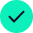 Check icon